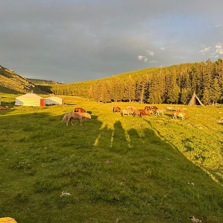 Отель Sara'S Camp Zuunmod Экстерьер фото